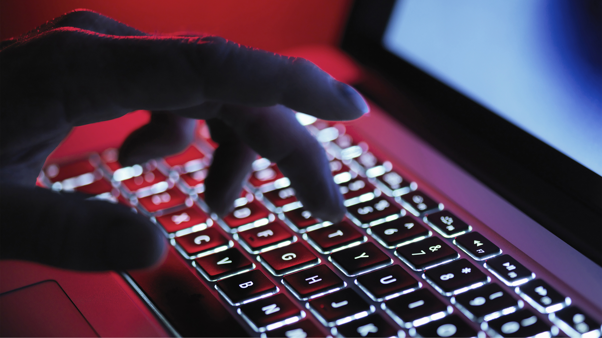Flash Funds Pro Fake Bank Alert Tool